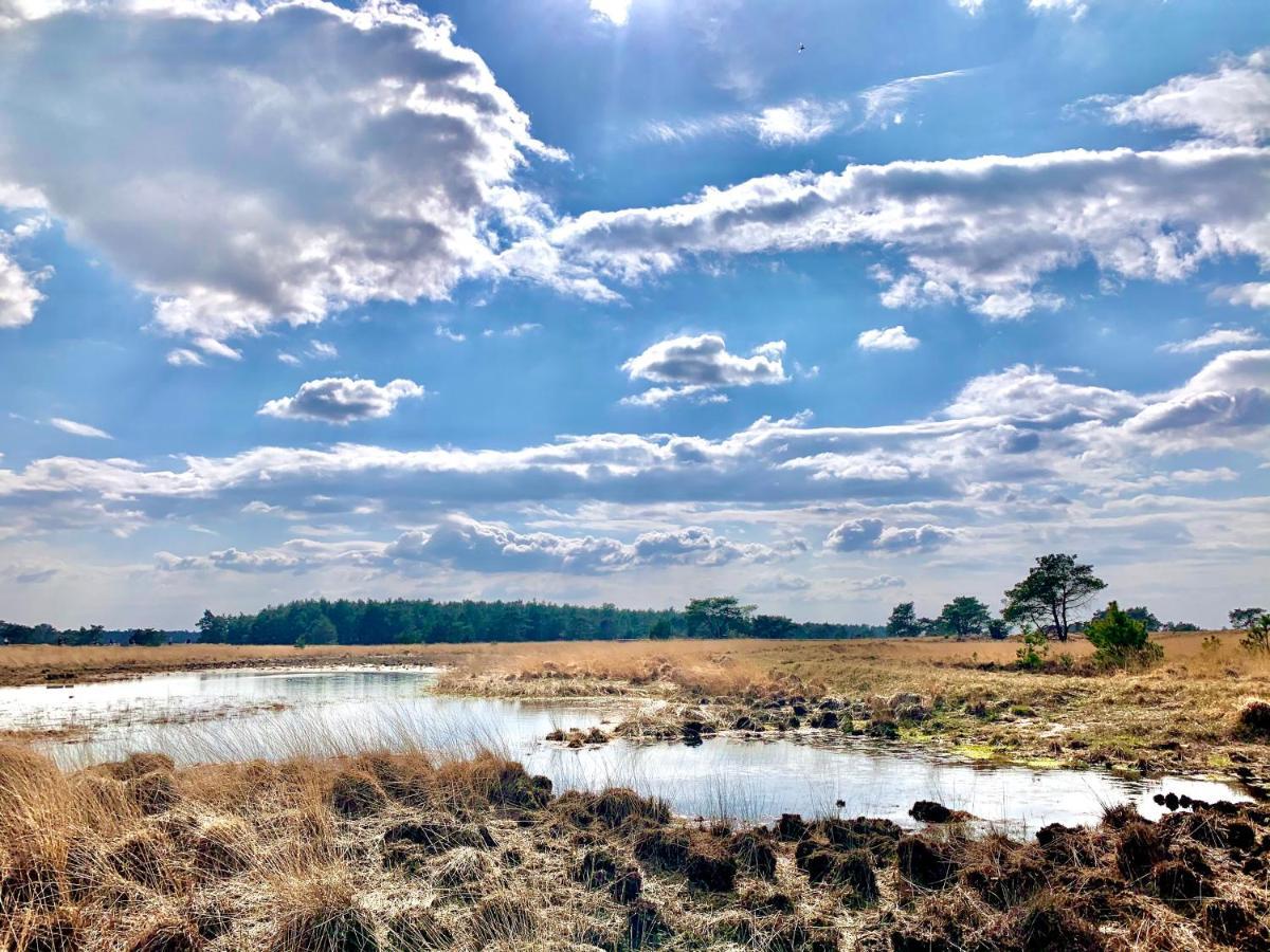 Wilde Moeflon, Geniet Van De Vrije Natuur! Otterlo Exteriör bild